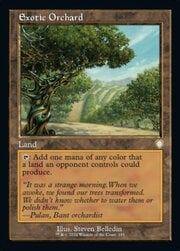 Exotic Orchard · Retro Frame 185