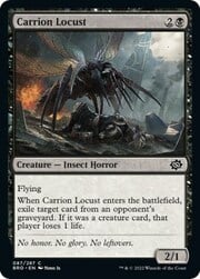 Carrion Locust 087