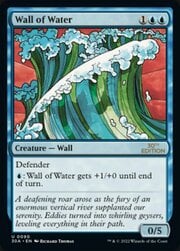Wall of Water 090