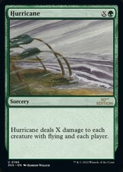 Hurricane 196