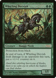 Whirling Dervish 015