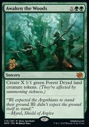 Awaken the Woods 170