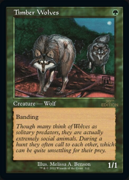 Timber Wolves Card Front