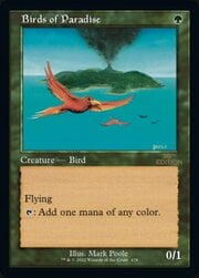 Birds of Paradise · Retro Frame 479