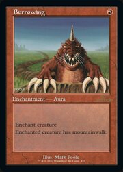 Burrowing · Retro Frame 432