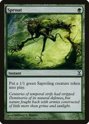 Sprout 221