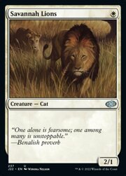 Savannah Lions 237