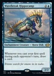 Wavebreak Hippocamp 371