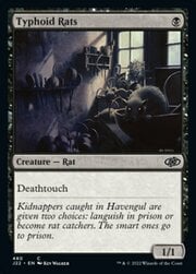 Typhoid Rats 480