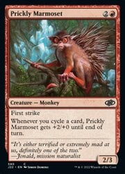 Prickly Marmoset 580