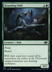 Bounding Wolf 633