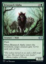 Briarpack Alpha 634