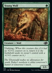 Young Wolf 746