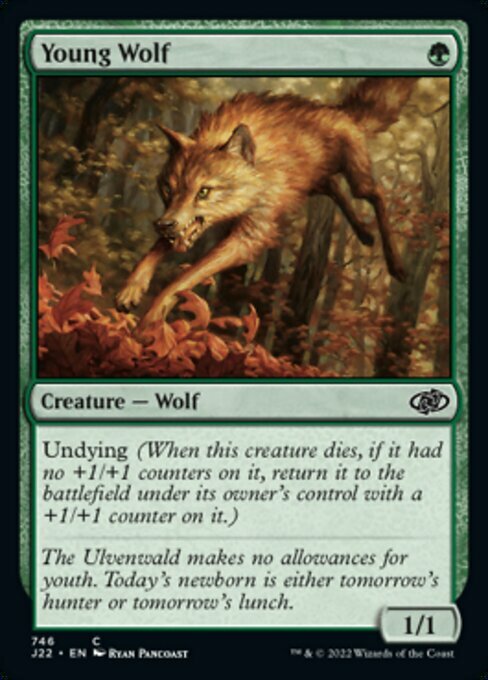 Young Wolf Card Front