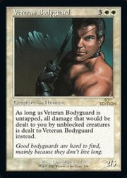 Veteran Bodyguard · Retro Frame 338