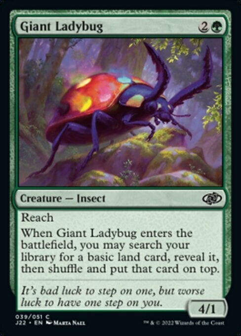 Giant Ladybug Card Front