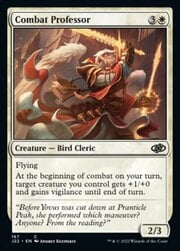 Combat Professor 167