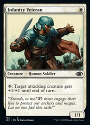 Infantry Veteran 198