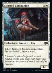 Spirited Companion 248