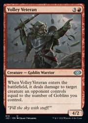 Volley Veteran 619