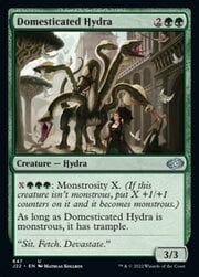 Domesticated Hydra 647