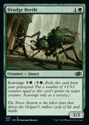 Drudge Beetle 649