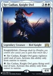 Syr Cadian, Knight Owl 015