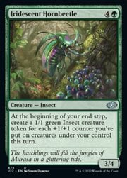 Iridescent Hornbeetle 678