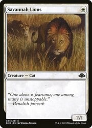 Savannah Lions 024