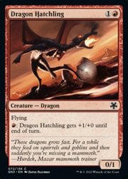 Dragon Hatchling 072