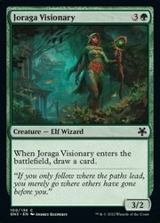 Joraga Visionary 100