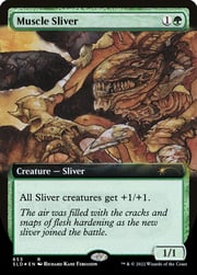 Muscle Sliver 0653