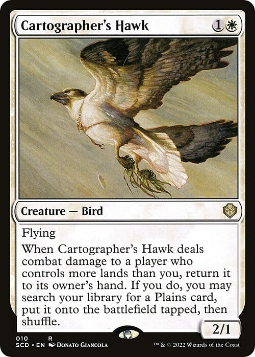 Cartographer's Hawk Card Front