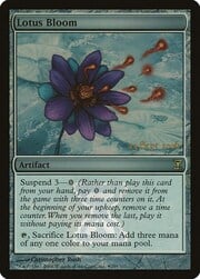 Lotus Bloom 031