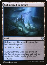 Submerged Boneyard 321