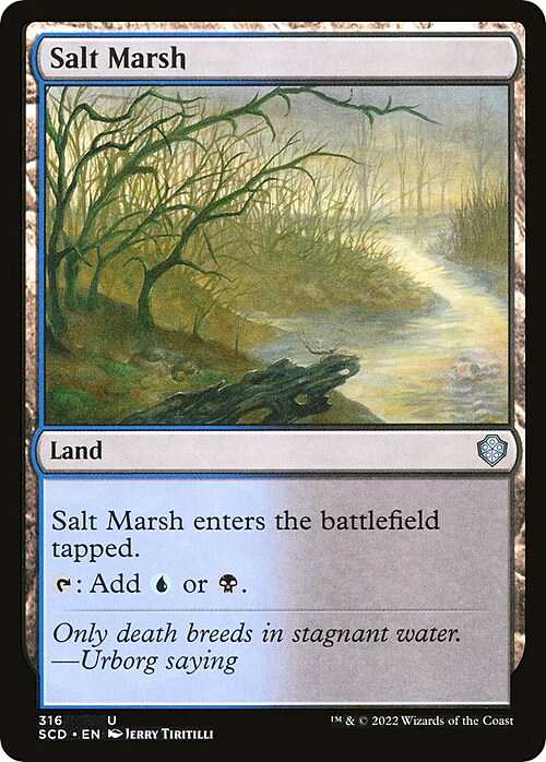 Salt Marsh Card Front