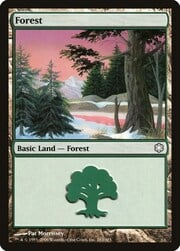 Forest · 383 383