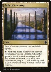 Path of Ancestry 312
