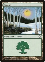 Forest · 382 382