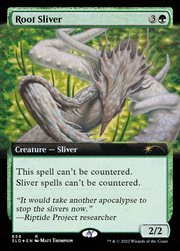 Root Sliver 0656