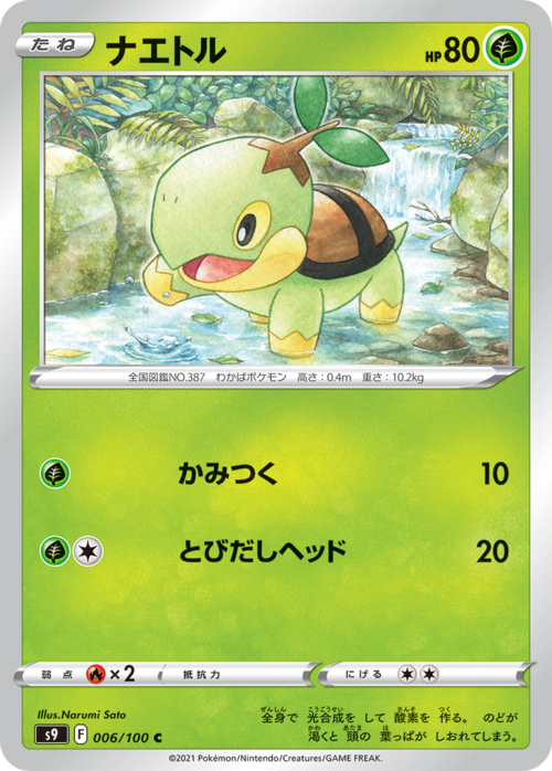 Turtwig Card Front