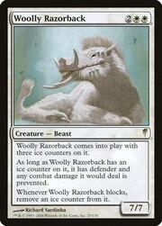 Woolly Razorback 025