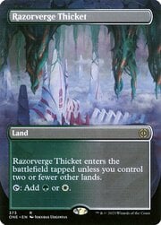 Razorverge Thicket · Borderless 373