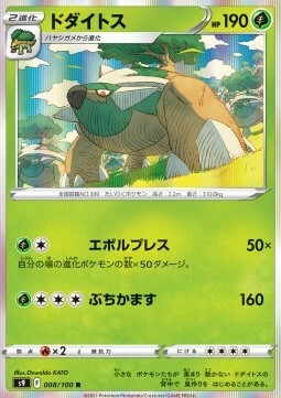 Torterra Card Front