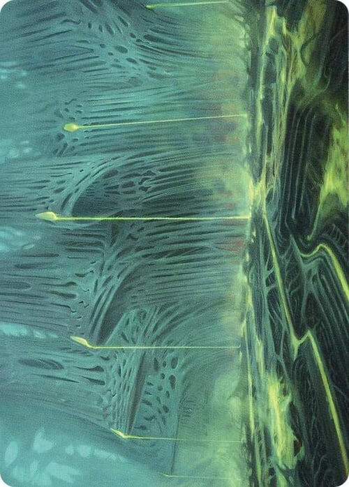 Art Series: Swamp Card Front