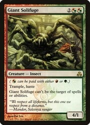 Giant Solifuge 143
