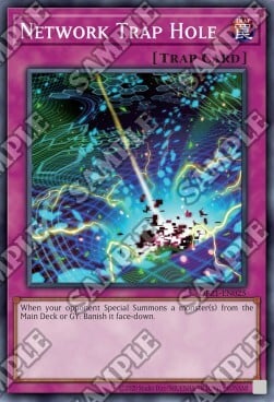 Network Trap Hole Card Front