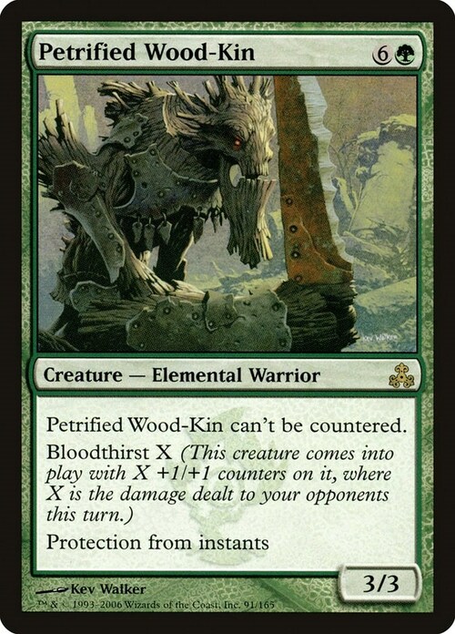 Petrified Wood-Kin Card Front