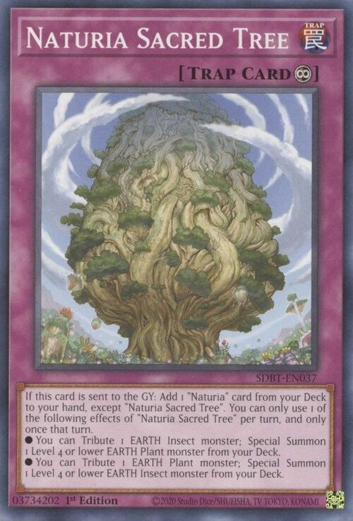 Naturia Sacred Tree Card Front
