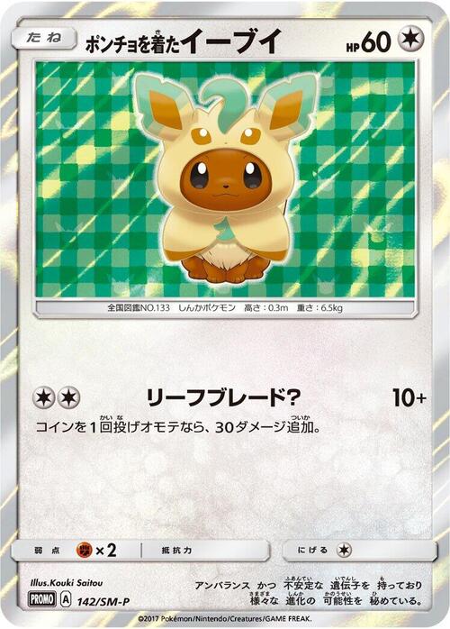 Poncho-wearing Eevee Card Front
